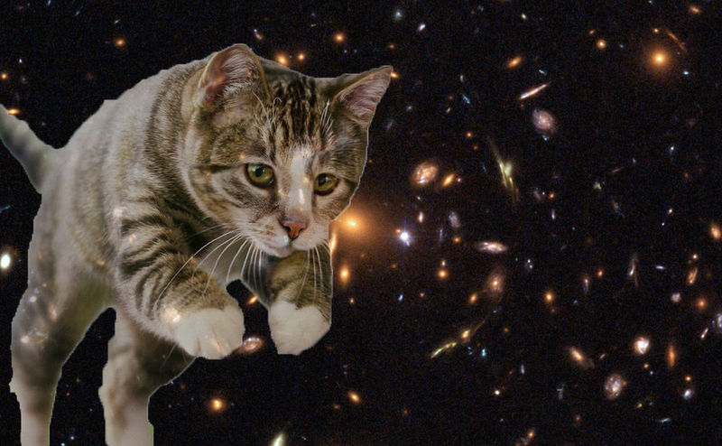 Illustration for article titled My God, It's Full Of Cats! The Very Best Artwork Of Cats In Space